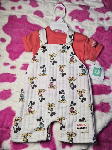 Months mickey mouse grey - months,