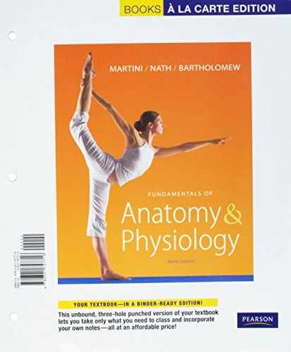 Fundamentals anatomy - fundamentals,