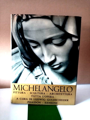 Michelangelo pittura - pittura,