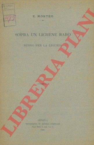 Morteo sopra un lichene - sopra,