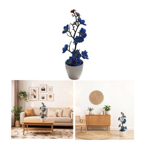 Bonsai fiori prugna - di, di