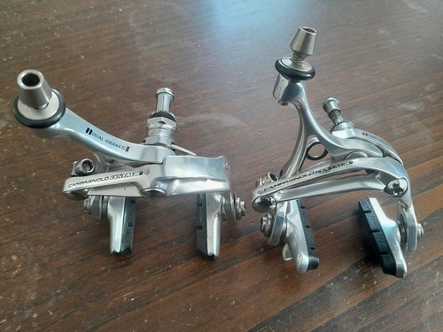 Scheletro campagnolo centauro - scheletro,