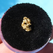 Minerali *** RARA PEPITA d'ORO