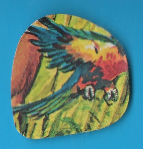 Figurina panini big - figurina,