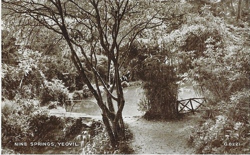 Nine springs yeovil - nine,