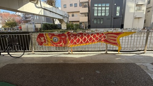 Antico streamer per - antico, carpe