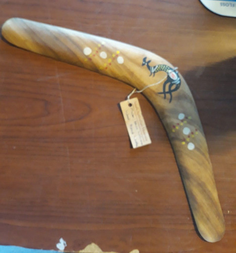 South australian museum - australian,