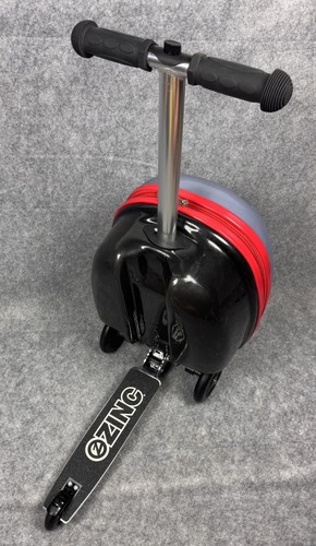 Zinco flyte snapper squalo - flyte, lo