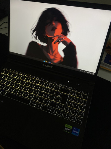 Monster tulpar gaming laptop - tulpar,