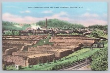 Cartolina Campione Carta e