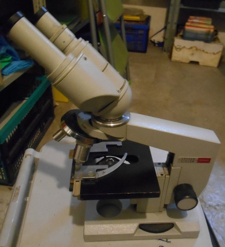 Microscopio bioculare lomo - bioculare,