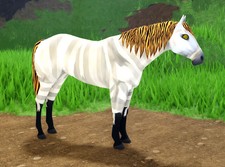 Wild Horse Islands Roblox