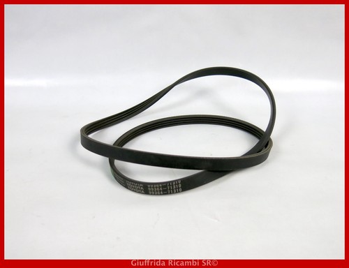 Cinghia servizi poly toyota - cinghia,