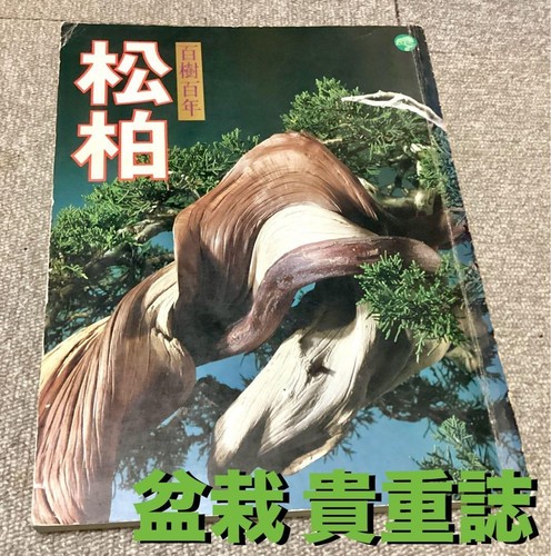 Japanese bonsai magazine - bonsai,