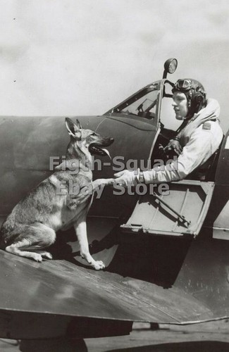 Ww2 foto pilota - ww2,