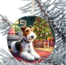 Fox Terrier a pelo filo da