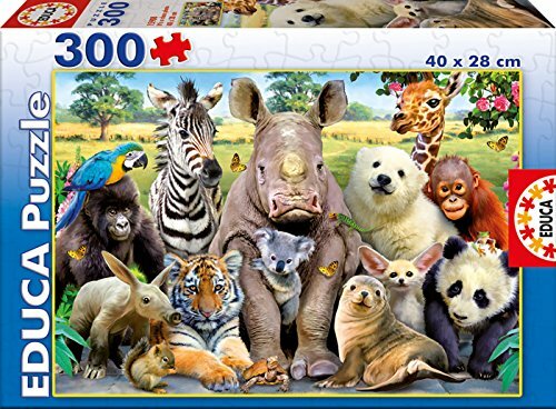 Educa puzzle 300 - -,