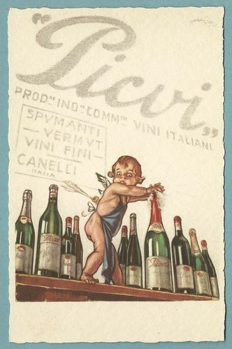 Offerta picvi vini - offerta!!!, pugni