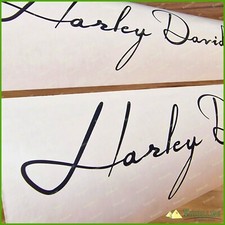 V-rod Custom Gas Tank Airbox