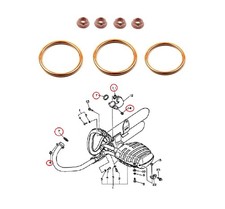 Kit dadi guarnizione