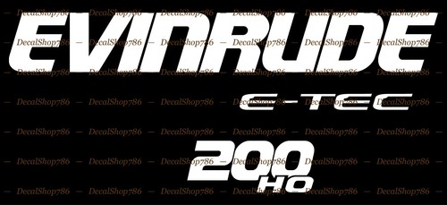 Evinrude fuoribordo e tec - evinrude,