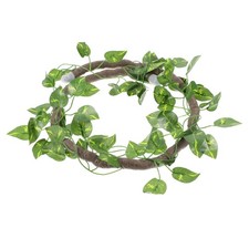  Accessori Per Rettili