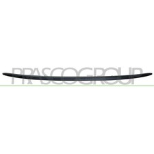 Spoiler Prasco FT0301851
