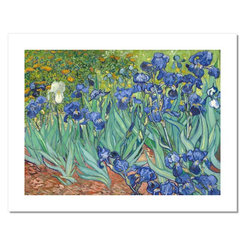 Niik stampa iris - di, vincent