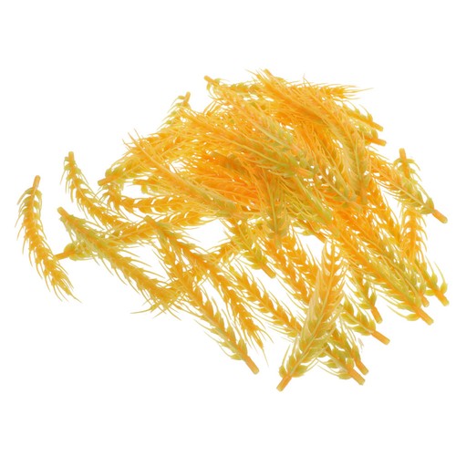 Mazzi spighe di grano - di,