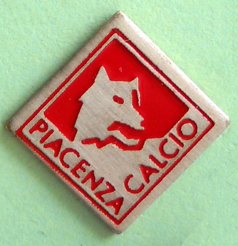 Distintivo spilla pin badge - spilla,
