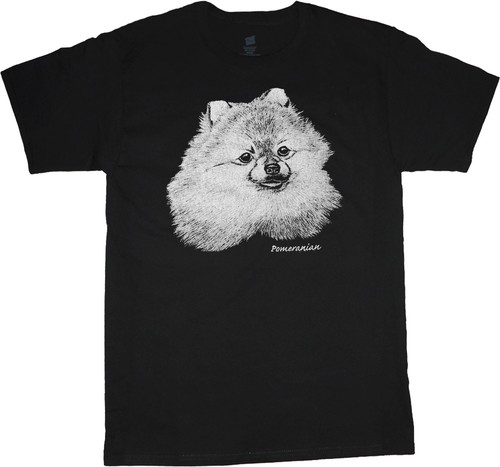 Pomerania camicia razza - , cane