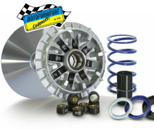 Variatore POLINI 241.699