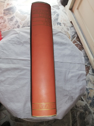 Grande libro dei vini - libro,