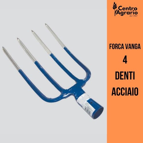 Forca vanga denti - 4,