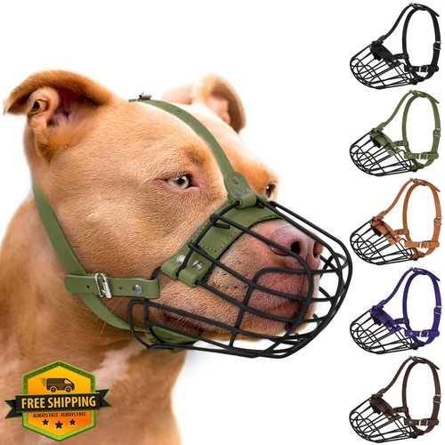 Budkas pitbull museruola per - budkas,