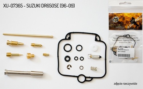 Suzuki 650se 09 - suzuki, '96-'09
