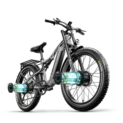Bicicletta elettrica doppio