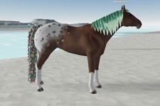 Wild Horse Islands 🌸 IUH MM