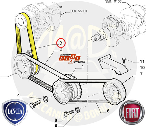 71719039 cinghia servizi - oe,