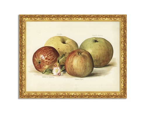 Quadro stampa tela effetto - stampa,