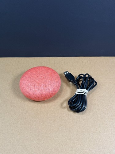 Google home mini 1st - 1st, nest