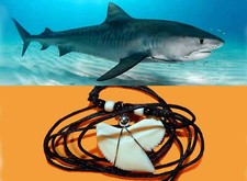 Galeocerdo cuvier Collana