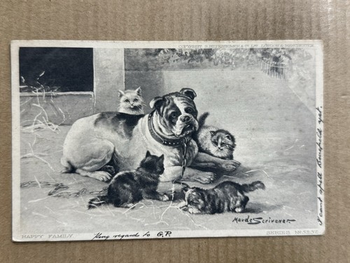 Cartolina boxer cane gatti - cane,