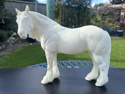 Irish cob gypsy vanner - cob,