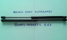 2 Pistoncini Cofano Anteriore