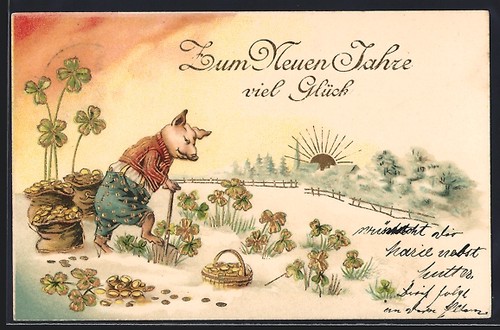 Cartolina artista schwein - cartolina,