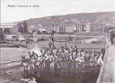 Napoli, ITALIA - Pescatore in azione - Pesca in rete - Dragnet