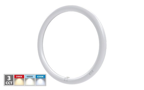 Neon circolare trifosforo - neon,