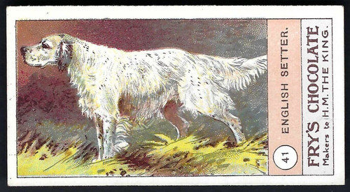 Fry fowls pigeons dogs - -,