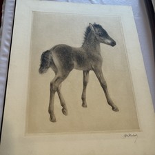 incisione a puntasecca di kurt